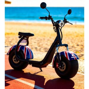 Scooter Elétrica WeHawk x7 1000W
