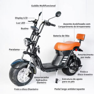 Bicicleta Elétrica 1000W Scooter 32km/h