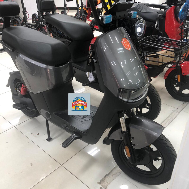 Moto Elétrica Foston X15 – Potência e Estilo