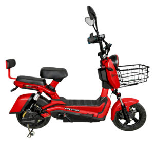 Bicicleta Scooter Elétrica 1000W